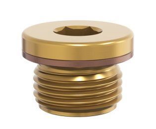 Surub de inchidere cu guler