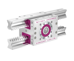 Cremaliera liniara cu dinti inclinati lifgo double linear SVZ