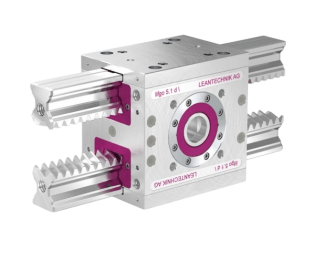 Cremaliera liniara cu dinti inclinati lifgo double SVZ