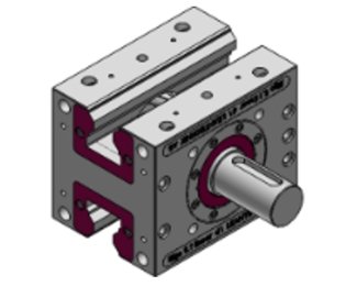 Cremaliera dubla cu dinti inclinati 5.1 lifgo double linear ZA1 SVZ