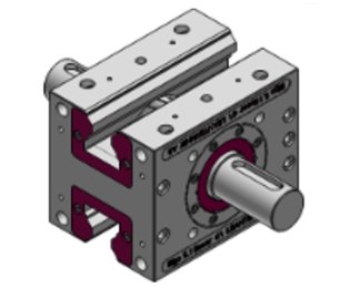 Cremaliera dubla cu dinti inclinati 5.1 lifgo double linear ZA2 SVZ