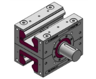 Cremaliera dubla cu dinti inclinati 5.3 lifgo double linear ZA1 SVZ