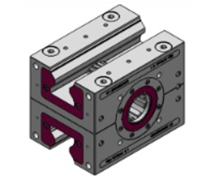 Cremaliera dubla cu dinti inclinati 5.3 lifgo double linear PFN SVZ