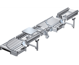 Conveior cu role angrenate TS 5 ISO Class 8