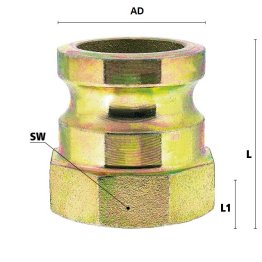 Cupla tata cu filet interior pentru mortar filet G 1 1/2" inch