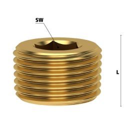 Surub de inchidere cu filet exterior conic M 10x1.0