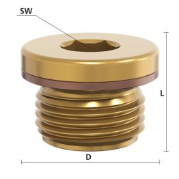 Surub de inchidere cu guler filet G 1/8"