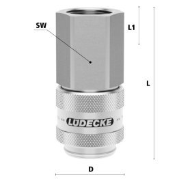 Cupla rapida pneumatica cu filet interior Seria ESGE DN 19 din INOX 1.4305 filetG 3/4"