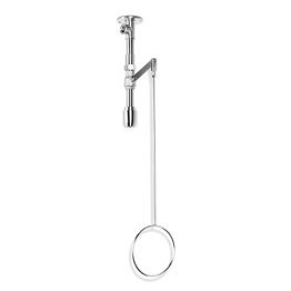 Dus decontaminare corporal cu fixare pe plafon BR 085095