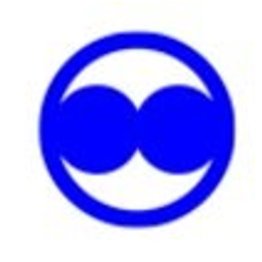 Electrod electroeroziune multicanal tip A din ALAMA 300/1mm