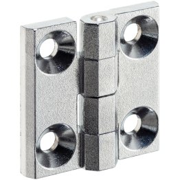 Balamale/cu găuri de fixare | b1=30 mm / Zinc turnat, cromat | 25160.0005