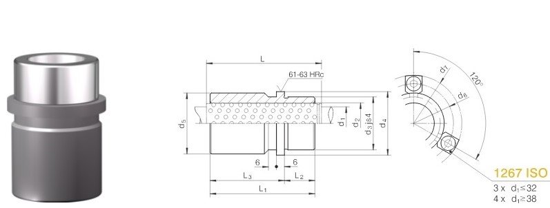 1251.1 LUNG2 (2).jpg