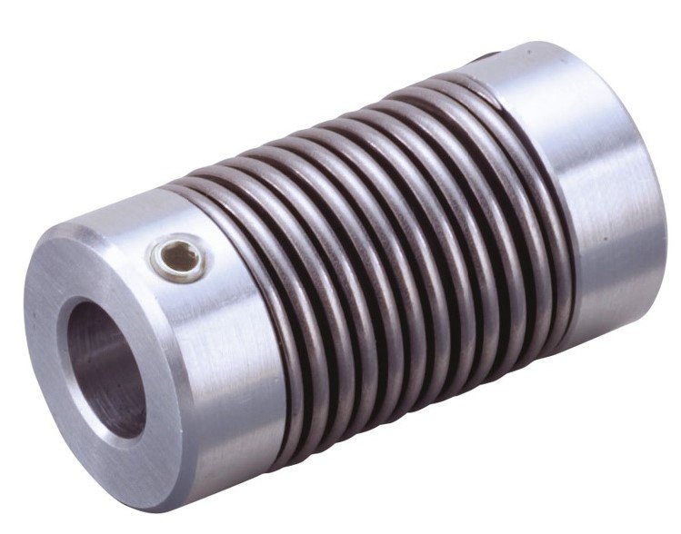 Baumannflex LM lung.jpg