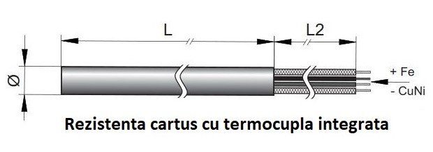 Rezistenta tip cartus cu termocupla (2).jpg