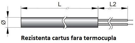Rezistenta electrica tip cartus fara termocupla2 (2).jpg