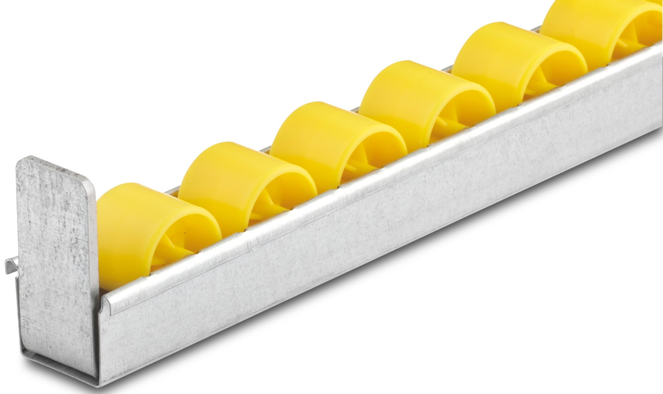 6b32b8e8-ca83-4d72-9161-636657a393fa LUNG.jpg