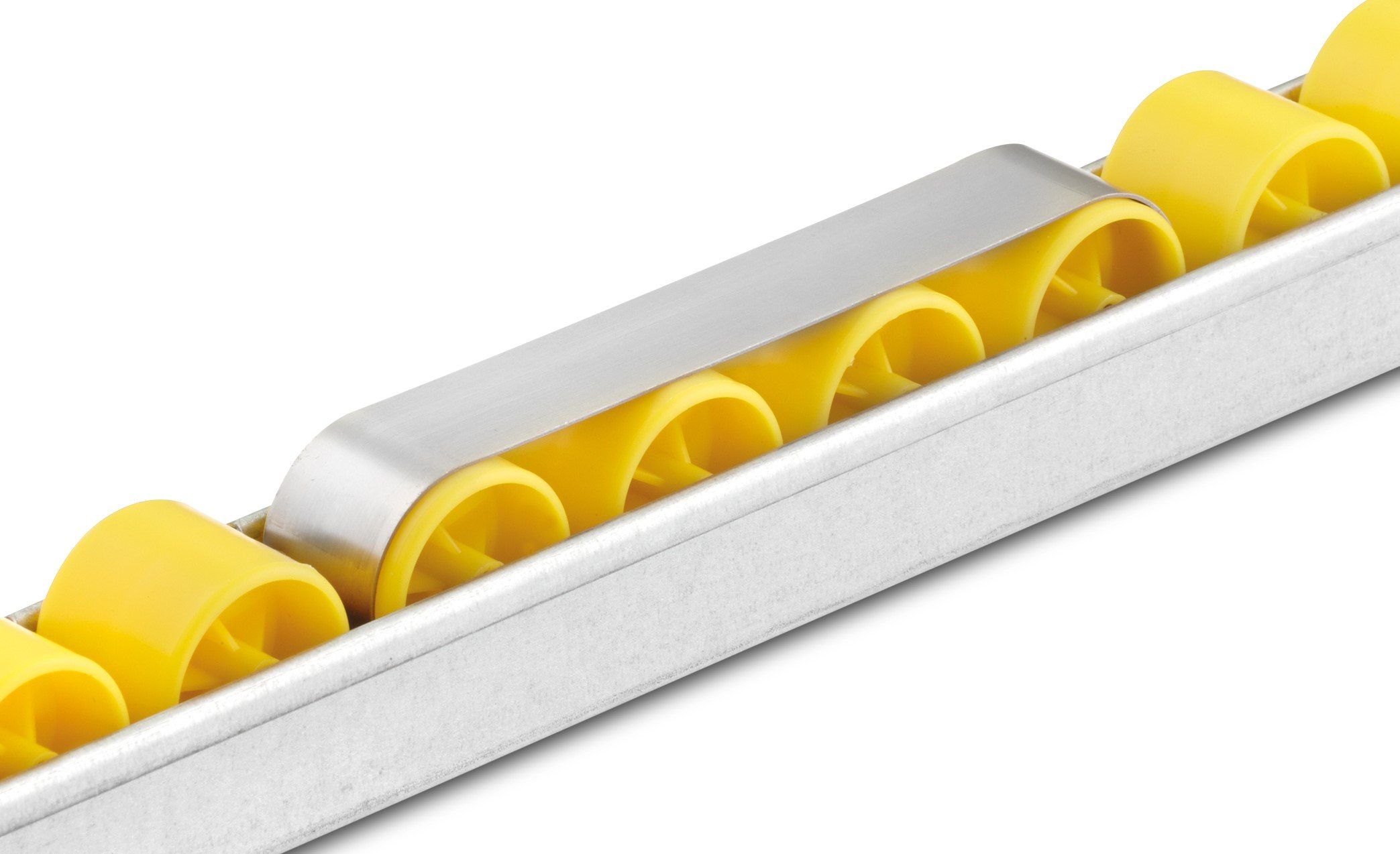 c8eeecf2-7fe3-4a7d-ba3a-b3197765ca73 LUNG.jpg