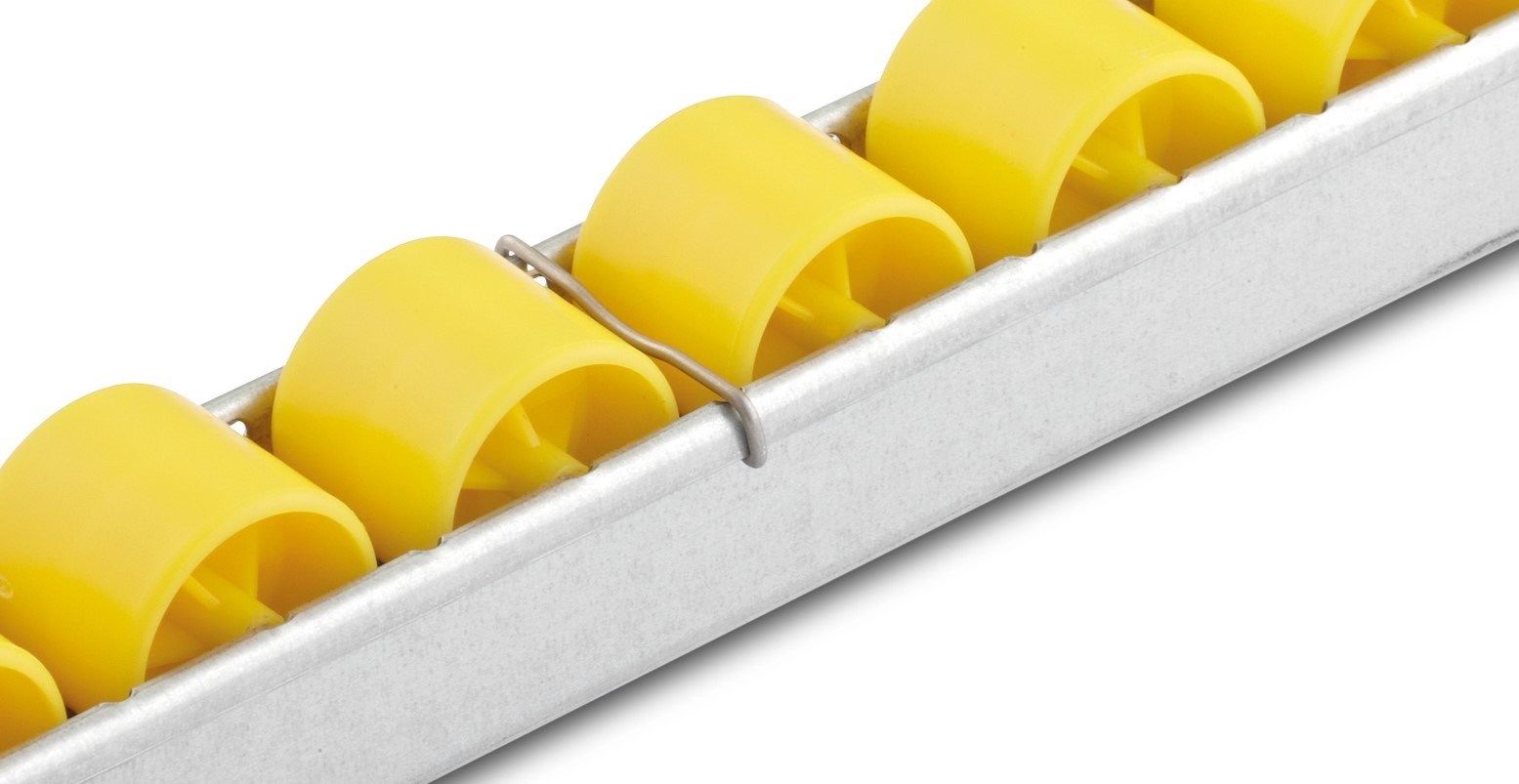 40554067-912e-4c14-a648-6131107a7260 LUNG.jpg