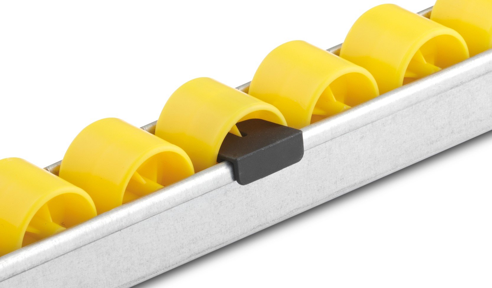 f2587ce7-a267-4377-bcc9-b8fe785ca5cf LUNG.jpg