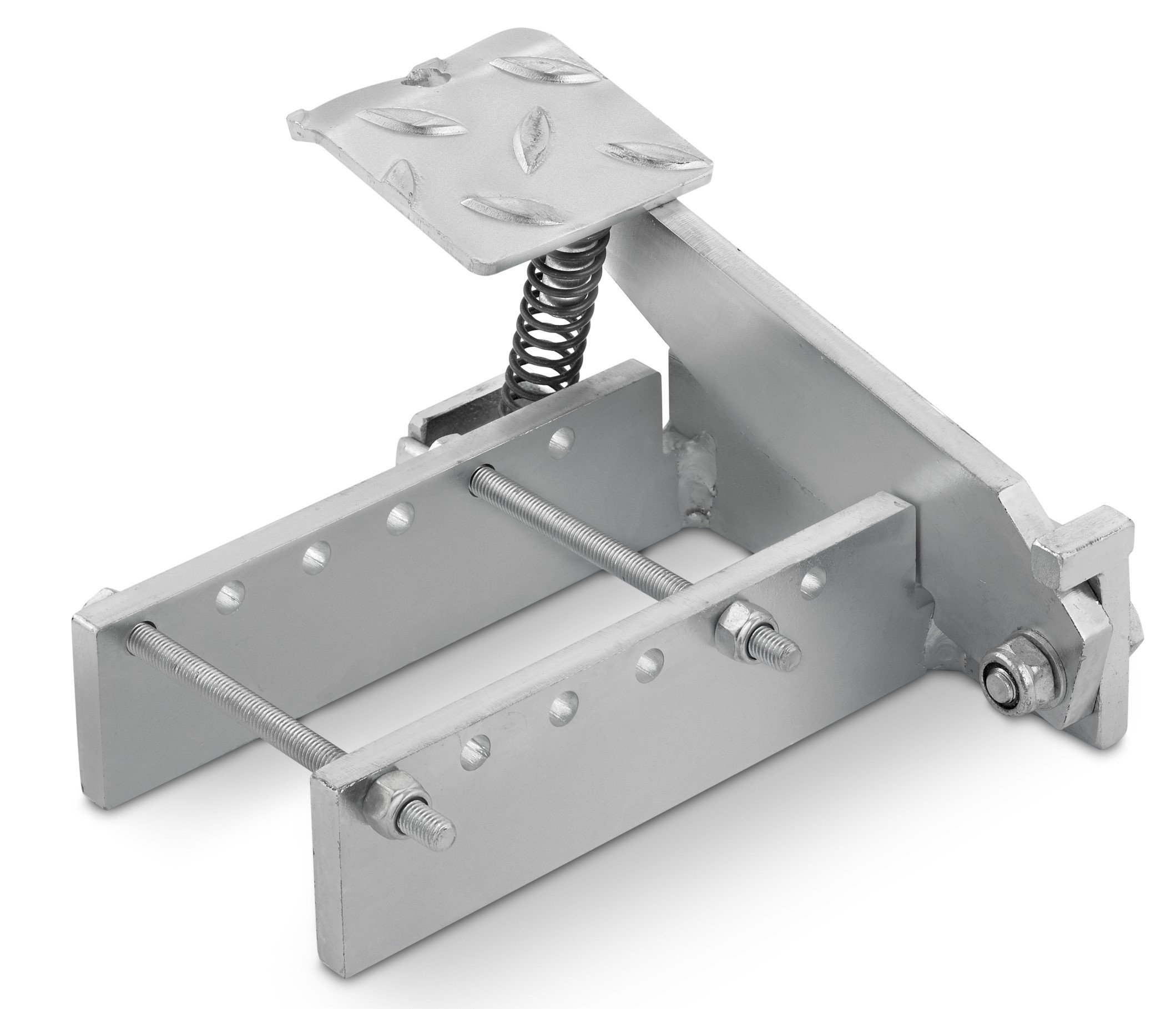 20b75f1e-c393-4269-87b0-ee70ef50d83e lung.jpg