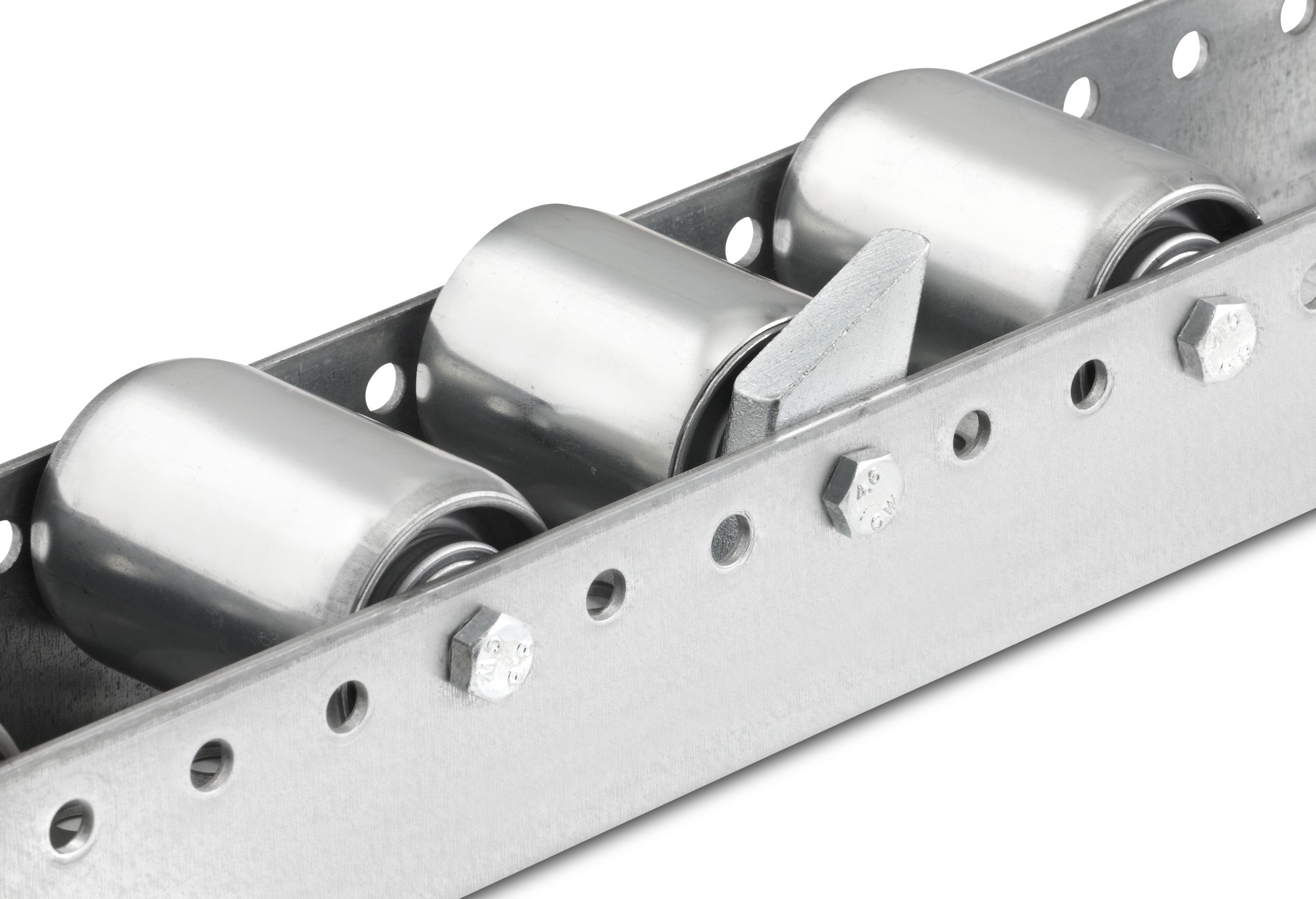 1a6dbb58-51e9-4c99-b7f8-e0f6d038a2ae lung.jpg