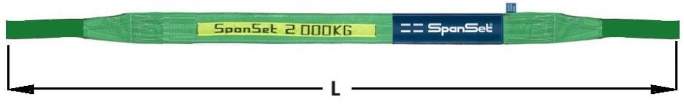 PCS2000-LUNG.jpg