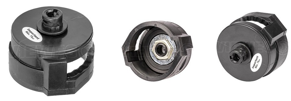 capac cartus cat.jpg