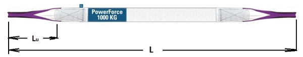 PF1000_2.png