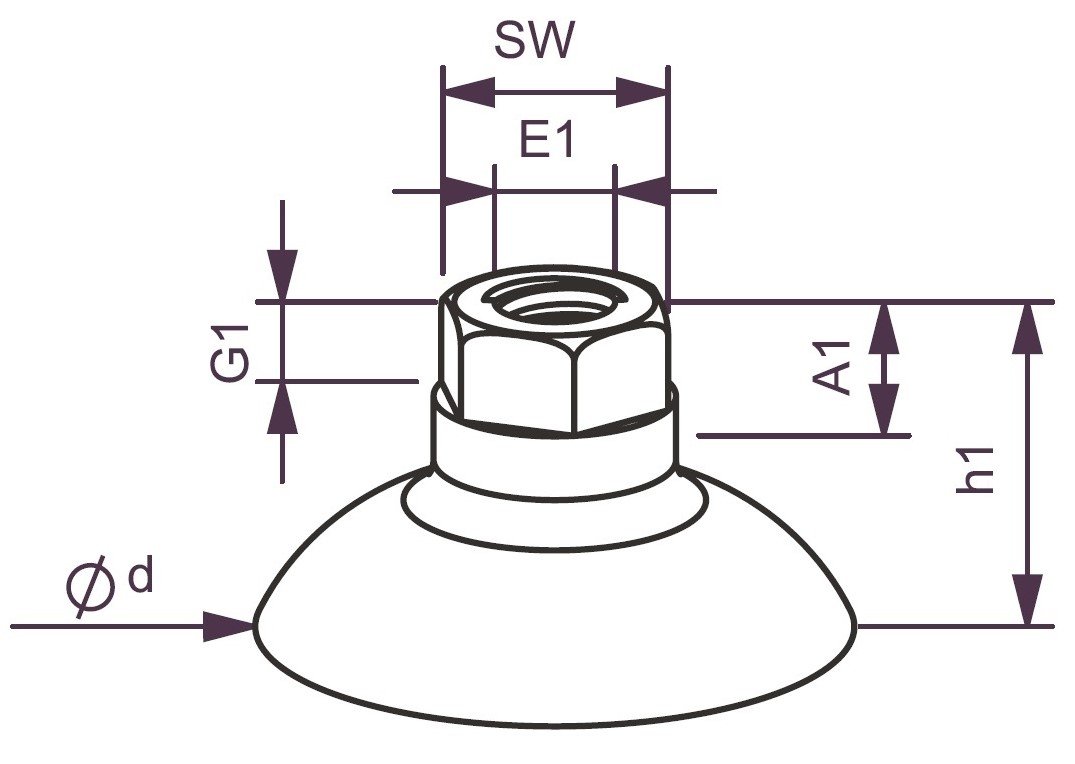 Prim Vac plan filet interior DT.jpg