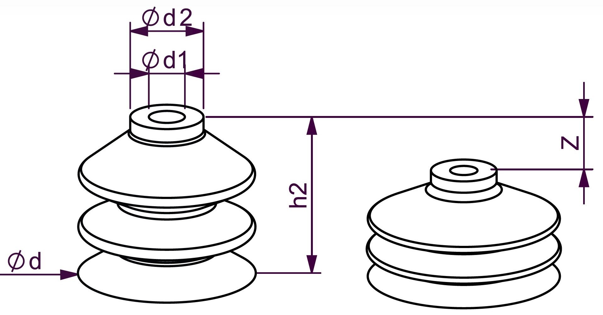 REZ BURDUF 2-5 DT.jpg