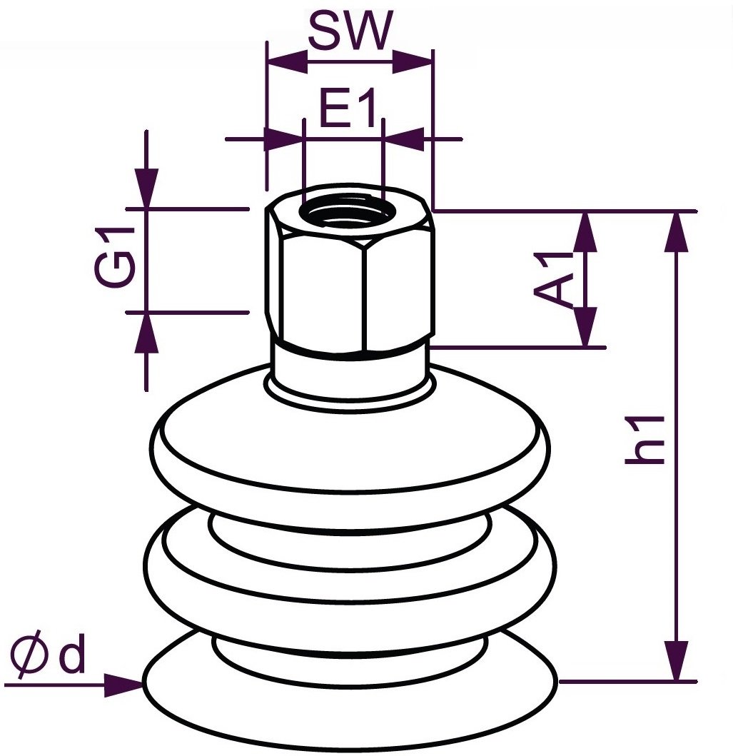 Bb URDUF 2-5.INT.DT.jpg