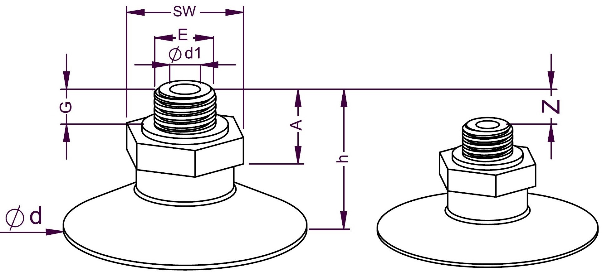 BASIC EXTE DTjpg.jpg