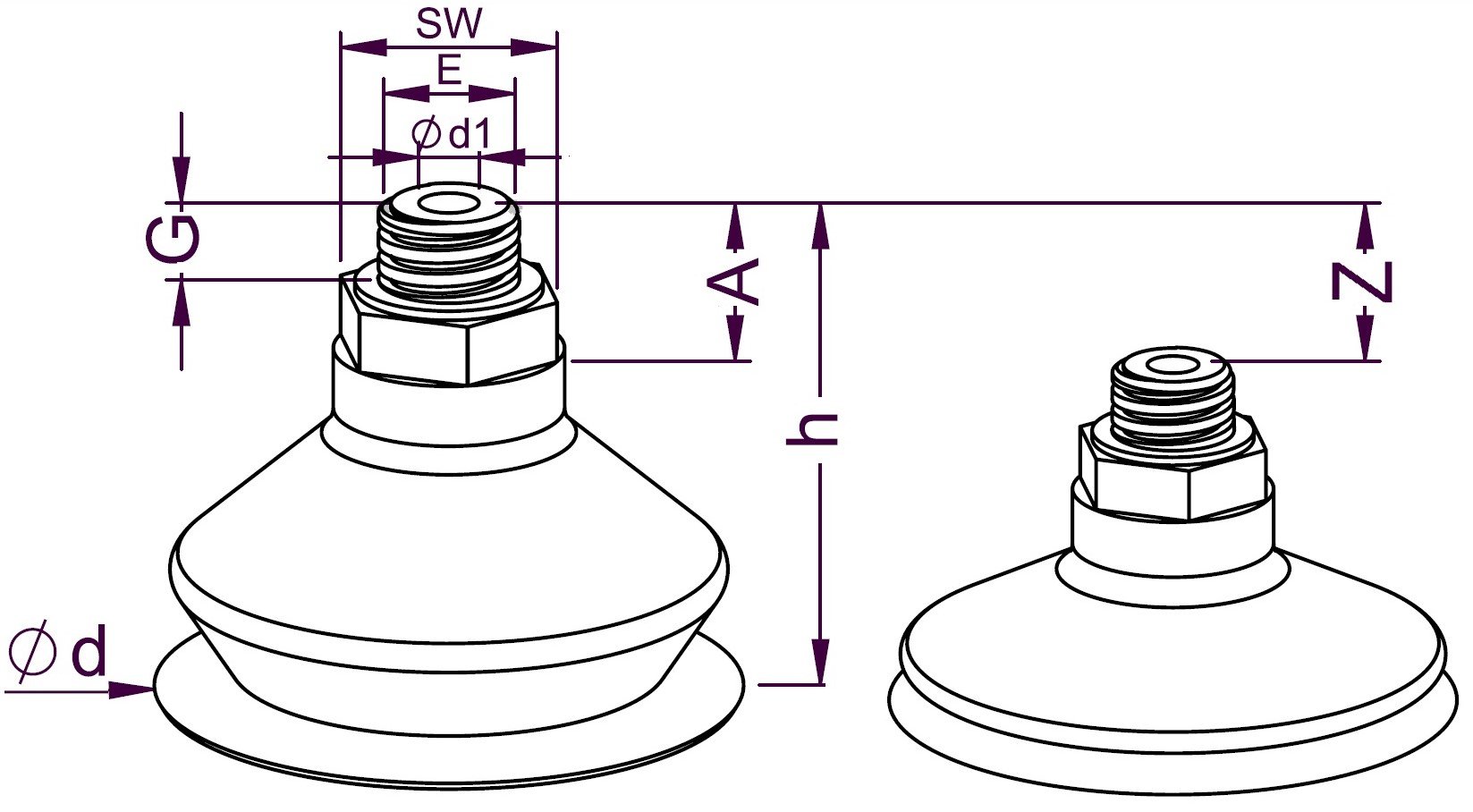 BASIC INTERIOR DTjpg.jpg