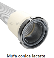 Mufa conica.png