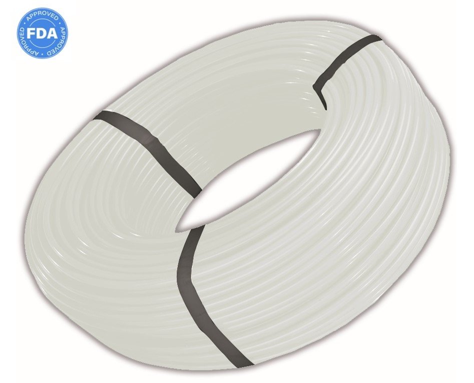 food -ai.jpg lung.jpg