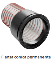 f conica permanenta_4.png