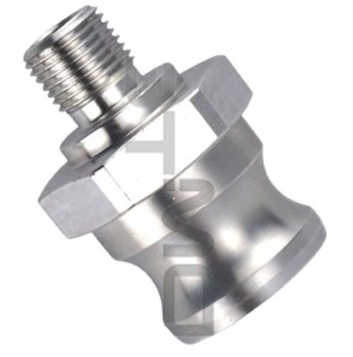 4000005-removebg-preview (1).jpg33.jpg