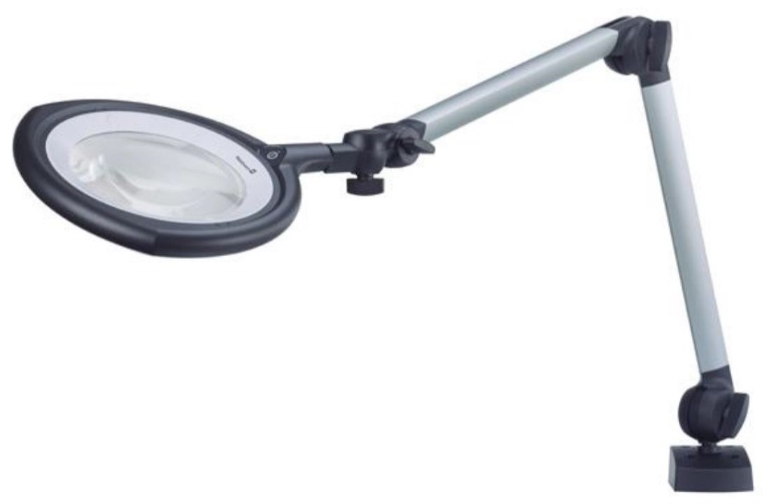 Waldmann Lupa Teviso. lung.jpg