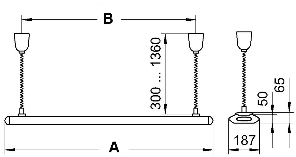 TAMETO SUS-DT.jpgA.jpg