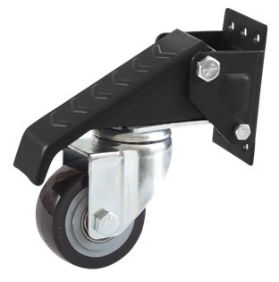 roara ridicare_3.jpg