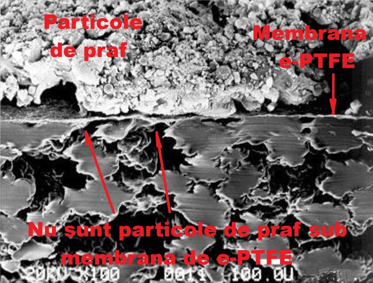 POZE SINBRAN.jpg2.jpgaa.jpg