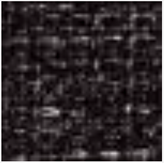 gri s.png