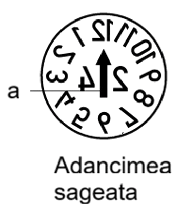 ADANCIMEA_SAGEATA-removebg-preview.png