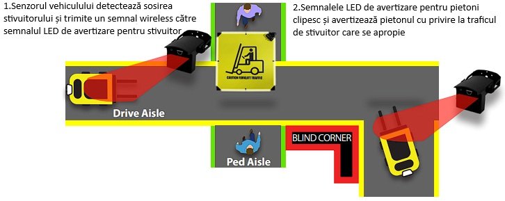 desen_2.jpg