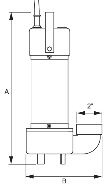 316 Derby Ex DT2.png