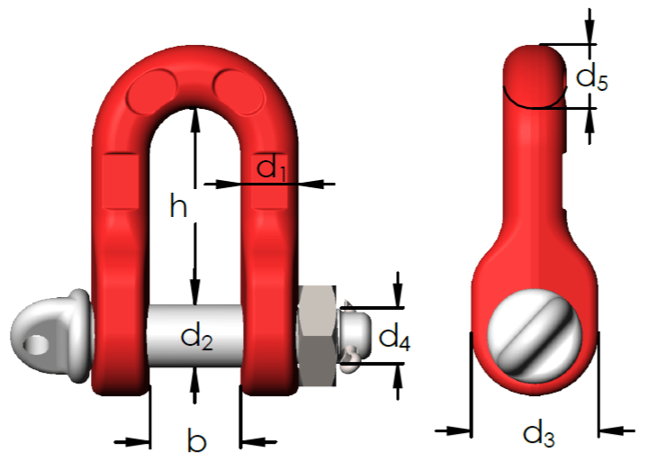 FORMA C DT.png