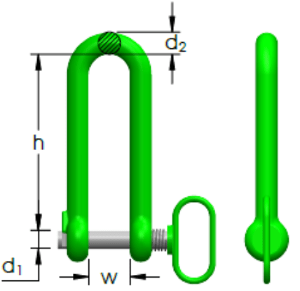 PALPL  DT.png