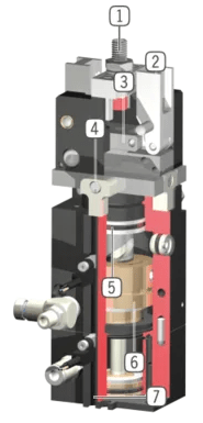 Clema DGK DT.png